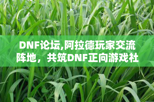 DNF论坛,阿拉德玩家交流阵地,共筑DNF正向游戏社群生态 DNF论坛,阿拉德玩家交流阵地,共筑DNF正向游戏社群生态