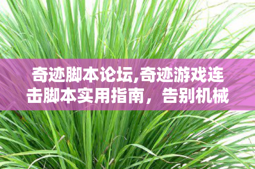 奇迹脚本论坛,奇迹游戏连击脚本实用指南,告别机械操作畅享战斗爽感 奇迹脚本论坛,奇迹游戏连击脚本实用指南,告别机械操作畅享战斗爽感