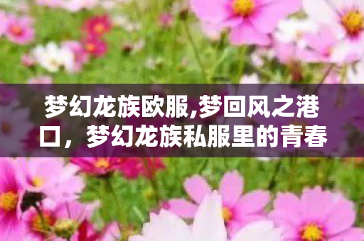 梦幻龙族欧服,梦回风之港口,梦幻龙族私服里的青春小确幸 梦幻龙族欧服,梦回风之港口,梦幻龙族私服里的青春小确幸