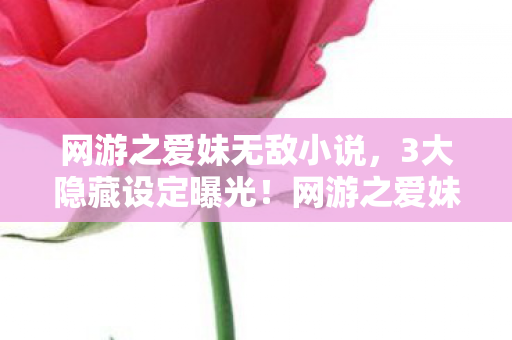 网游之爱妹无敌小说,3大隐藏设定曝光!网游之爱妹无敌制作组藏了8年的情感杀招 网游之爱妹无敌小说,3大隐藏设定曝光!网游之爱妹无敌制作组藏了8年的情感杀招