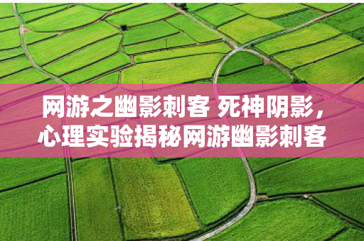网游之幽影刺客 死神阴影,心理实验揭秘网游幽影刺客,沉迷背后的细思极恐多巴胺陷阱 网游之幽影刺客 死神阴影,心理实验揭秘网游幽影刺客,沉迷背后的细思极恐多巴胺陷阱