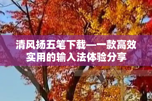 一款高效实用的输入法体验分享图片
