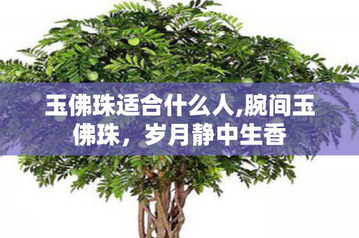 玉佛珠适合什么人,腕间玉佛珠,岁月静中生香 玉佛珠适合什么人,腕间玉佛珠,岁月静中生香