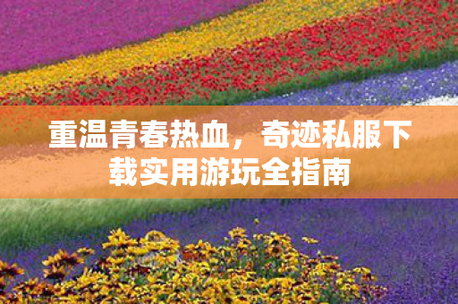 重温青春热血,奇迹私服下载实用游玩全指南 重温青春热血,奇迹私服下载实用游玩全指南