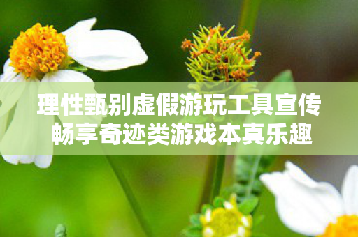 理性甄别虚假游玩工具宣传 畅享奇迹类游戏本真乐趣 理性甄别虚假游玩工具宣传 畅享奇迹类游戏本真乐趣