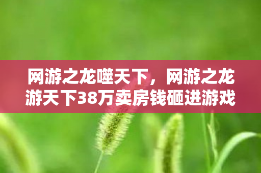 网游之龙噬天下,网游之龙游天下38万卖房钱砸进游戏,离婚协议撕开惊天隐情! 网游之龙噬天下,网游之龙游天下38万卖房钱砸进游戏,离婚协议撕开惊天隐情!