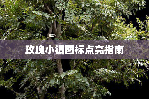 玫瑰小镇图标点亮指南图片