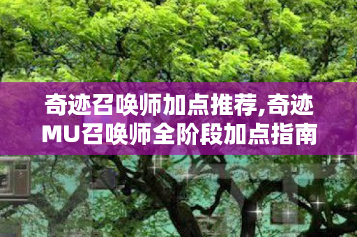 奇迹召唤师加点推荐,奇迹MU召唤师全阶段加点指南,适配不同玩法的最优属性分配思路 奇迹召唤师加点推荐,奇迹MU召唤师全阶段加点指南,适配不同玩法的最优属性分配思路