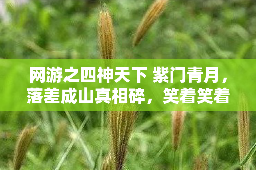 网游之四神天下 紫门青月,落差成山真相碎,笑着笑着就哭了,四神天下里的自我囚徒 网游之四神天下 紫门青月,落差成山真相碎,笑着笑着就哭了,四神天下里的自我囚徒