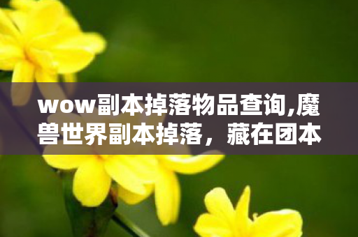 wow副本掉落物品查询,魔兽世界副本掉落,藏在团本灯火里的青春回响 wow副本掉落物品查询,魔兽世界副本掉落,藏在团本灯火里的青春回响