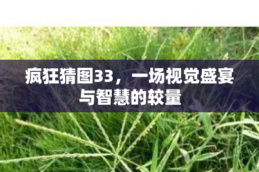 一场视觉盛宴与智慧的较量图片