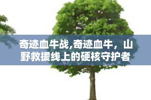 奇迹血牛战,奇迹血牛,山野救援线上的硬核守护者 奇迹血牛战,奇迹血牛,山野救援线上的硬核守护者