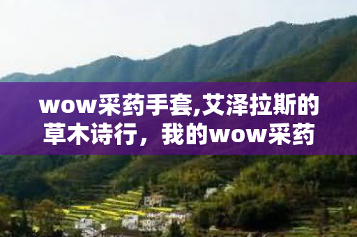wow采药手套,艾泽拉斯的草木诗行,我的wow采药漫游手记 wow采药手套,艾泽拉斯的草木诗行,我的wow采药漫游手记