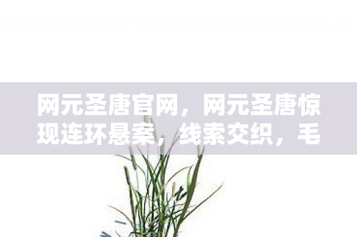 网元圣唐官网,网元圣唐惊现连环悬案,线索交织,毛骨悚然之杀戮轮回 网元圣唐官网,网元圣唐惊现连环悬案,线索交织,毛骨悚然之杀戮轮回