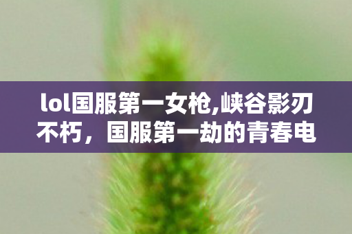 lol国服第一女枪,峡谷影刃不朽，国服第一劫的青春电竞记忆