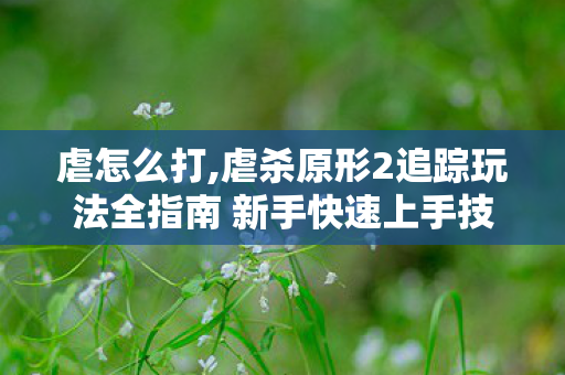 虐怎么打,虐杀原形2追踪玩法全指南 新手快速上手技巧分享 虐怎么打,虐杀原形2追踪玩法全指南 新手快速上手技巧分享