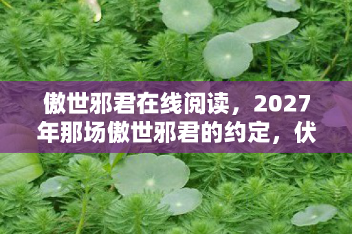 傲世邪君在线阅读,2027年那场傲世邪君的约定,伏笔成殇,鼻子一酸谁懂啊 傲世邪君在线阅读,2027年那场傲世邪君的约定,伏笔成殇,鼻子一酸谁懂啊