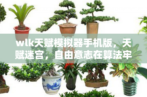 wlk天赋模拟器手机版,天赋迷宫,自由意志在算法牢笼中的灵魂震颤 wlk天赋模拟器手机版,天赋迷宫,自由意志在算法牢笼中的灵魂震颤