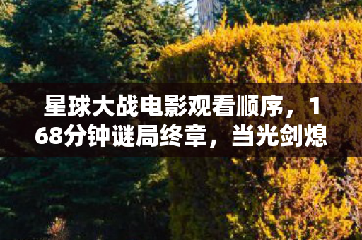 星球大战电影观看顺序,168分钟谜局终章,当光剑熄灭时,谁在星海尽头泪目? 星球大战电影观看顺序,168分钟谜局终章,当光剑熄灭时,谁在星海尽头泪目?