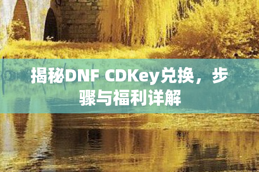 揭秘DNF CDKey兑换图片
