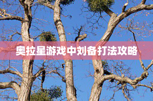 奥拉星游戏中刘备打法攻略图片