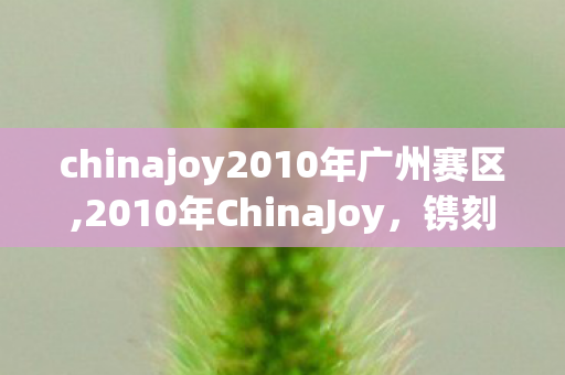 chinajoy2010年广州赛区,2010年ChinaJoy,镌刻在盛夏里的数字娱乐青春印记 chinajoy2010年广州赛区,2010年ChinaJoy,镌刻在盛夏里的数字娱乐青春印记