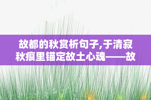 故都的秋赏析句子,于清寂秋痕里锚定故土心魂——故都的秋赏析 故都的秋赏析句子,于清寂秋痕里锚定故土心魂——故都的秋赏析