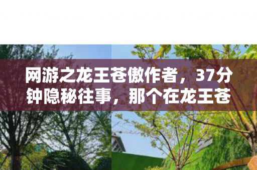 网游之龙王苍傲作者,37分钟隐秘往事,那个在龙王苍傲里哽咽的通宵夜 网游之龙王苍傲作者,37分钟隐秘往事,那个在龙王苍傲里哽咽的通宵夜