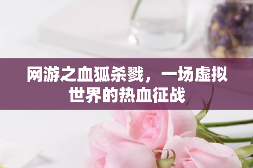 一场虚拟世界的热血征战图片