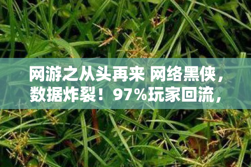 网游之从头再来 网络黑侠,数据炸裂!97%玩家回流,网游重生竟撬动300亿新蓝海 网游之从头再来 网络黑侠,数据炸裂!97%玩家回流,网游重生竟撬动300亿新蓝海