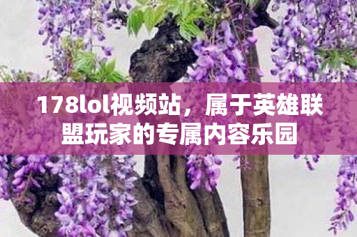 178lol视频站,属于英雄联盟玩家的专属内容乐园 178lol视频站,属于英雄联盟玩家的专属内容乐园