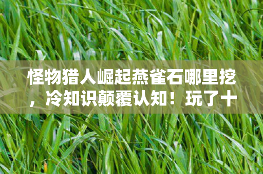 怪物猎人崛起燕雀石哪里挖,冷知识颠覆认知!玩了十年怪物猎人崛起竟不知燕雀石真相,令人目瞪口呆! 怪物猎人崛起燕雀石哪里挖,冷知识颠覆认知!玩了十年怪物猎人崛起竟不知燕雀石真相,令人目瞪口呆!