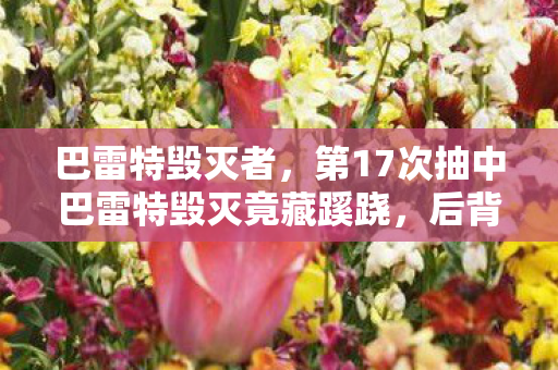 巴雷特毁灭者,第17次抽中巴雷特毁灭竟藏蹊跷,后背发凉的我终于醒悟 巴雷特毁灭者,第17次抽中巴雷特毁灭竟藏蹊跷,后背发凉的我终于醒悟
