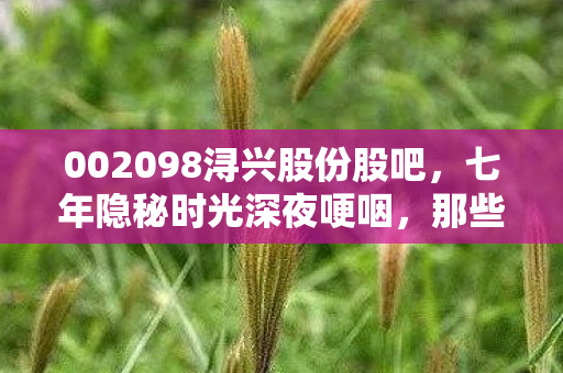002098浔兴股份股吧,七年隐秘时光深夜哽咽,那些为002098熬过的通宵 002098浔兴股份股吧,七年隐秘时光深夜哽咽,那些为002098熬过的通宵