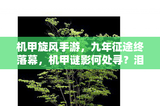 机甲旋风手游,九年征途终落幕,机甲谜影何处寻?泪目告别旧时光 机甲旋风手游,九年征途终落幕,机甲谜影何处寻?泪目告别旧时光
