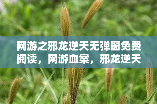 网游之邪龙逆天无弹窗免费阅读,网游血案,邪龙逆天之影,万人殒命悬案背后的毛骨悚然真相 网游之邪龙逆天无弹窗免费阅读,网游血案,邪龙逆天之影,万人殒命悬案背后的毛骨悚然真相