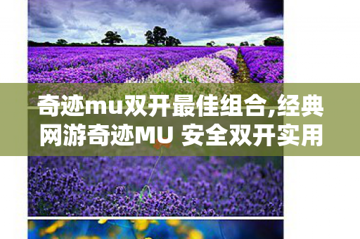 奇迹mu双开最佳组合,经典网游奇迹MU 安全双开实用操作指南