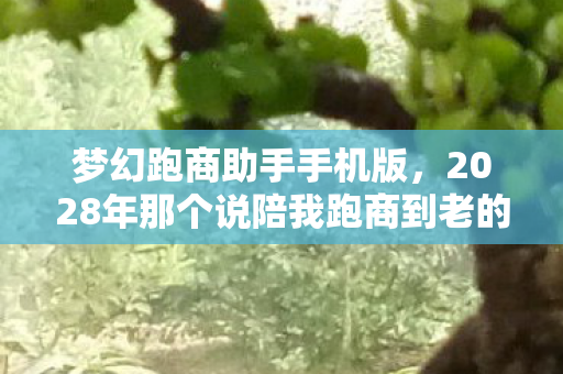 梦幻跑商助手手机版，2028年那个说陪我跑商到老的TA，伏笔成真时我鼻子一酸