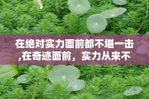 在绝对实力面前都不堪一击,在奇迹面前，实力从来不是唯一的标准答案