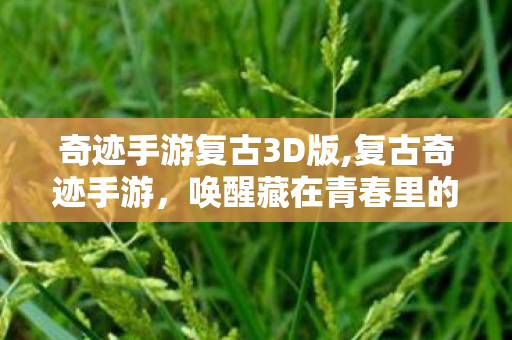 奇迹手游复古3D版,复古奇迹手游，唤醒藏在青春里的热血旧梦