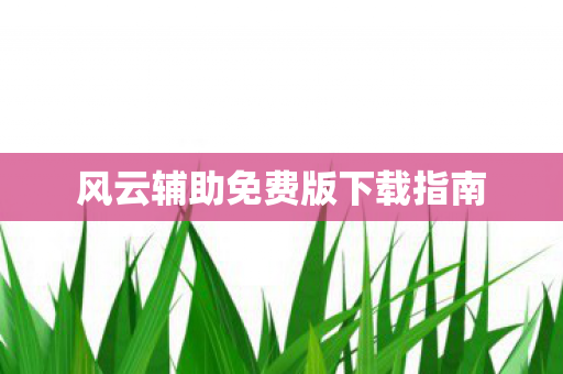 风云辅助免费版下载指南图片