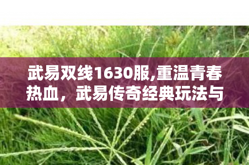 武易双线1630服,重温青春热血，武易传奇经典玩法与怀旧社群指南