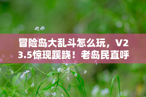 冒险岛大乱斗怎么玩，V23.5惊现蹊跷！老岛民直呼这还是冒险岛？