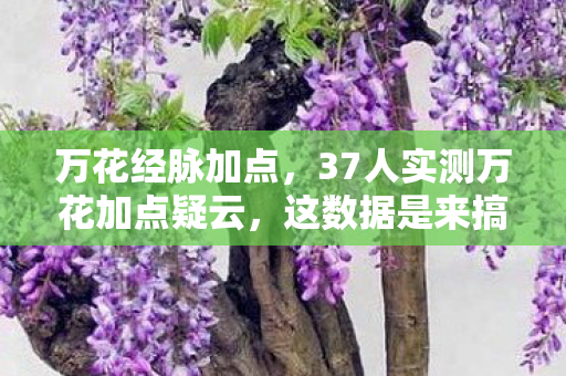 万花经脉加点，37人实测万花加点疑云，这数据是来搞笑的？网吧老炮当场绷不住！