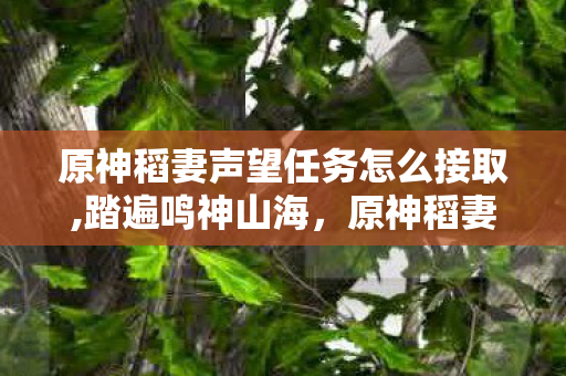 原神稻妻声望任务怎么接取,踏遍鸣神山海，原神稻妻声望任务里藏着的稻妻烟火气