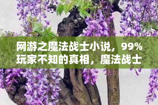 网游之魔法战士小说，99%玩家不知的真相，魔法战士的荣耀背后，藏着多少孤独的眼泪？