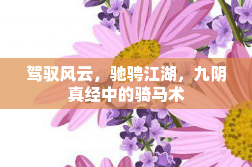 九阴真经中的骑马术图片