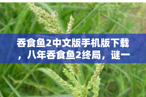 吞食鱼2中文版手机版下载，八年吞食鱼2终局，谜一样的关服，泪目清单里藏着谁？