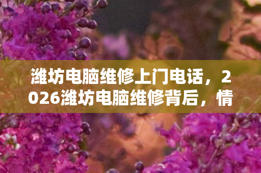 潍坊电脑维修上门电话，2026潍坊电脑维修背后，情缘三年伏笔终揭晓，鼻子一酸谁懂啊！