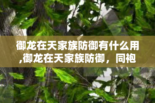 御龙在天家族防御有什么用,御龙在天家族防御，同袍并肩筑牢专属家族的热血防线
